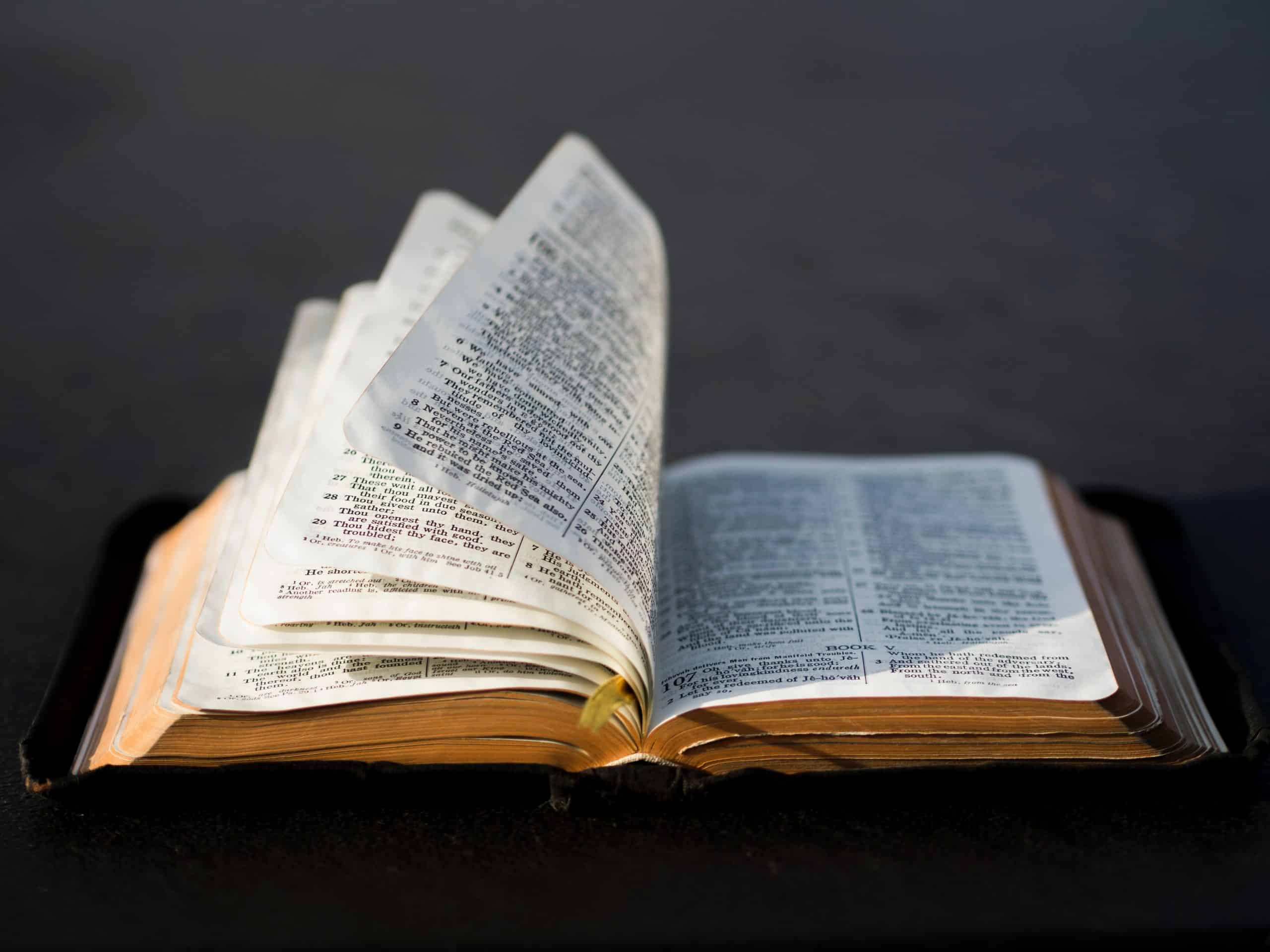 ¿Cómo se describe el amor de Dios en la Biblia?