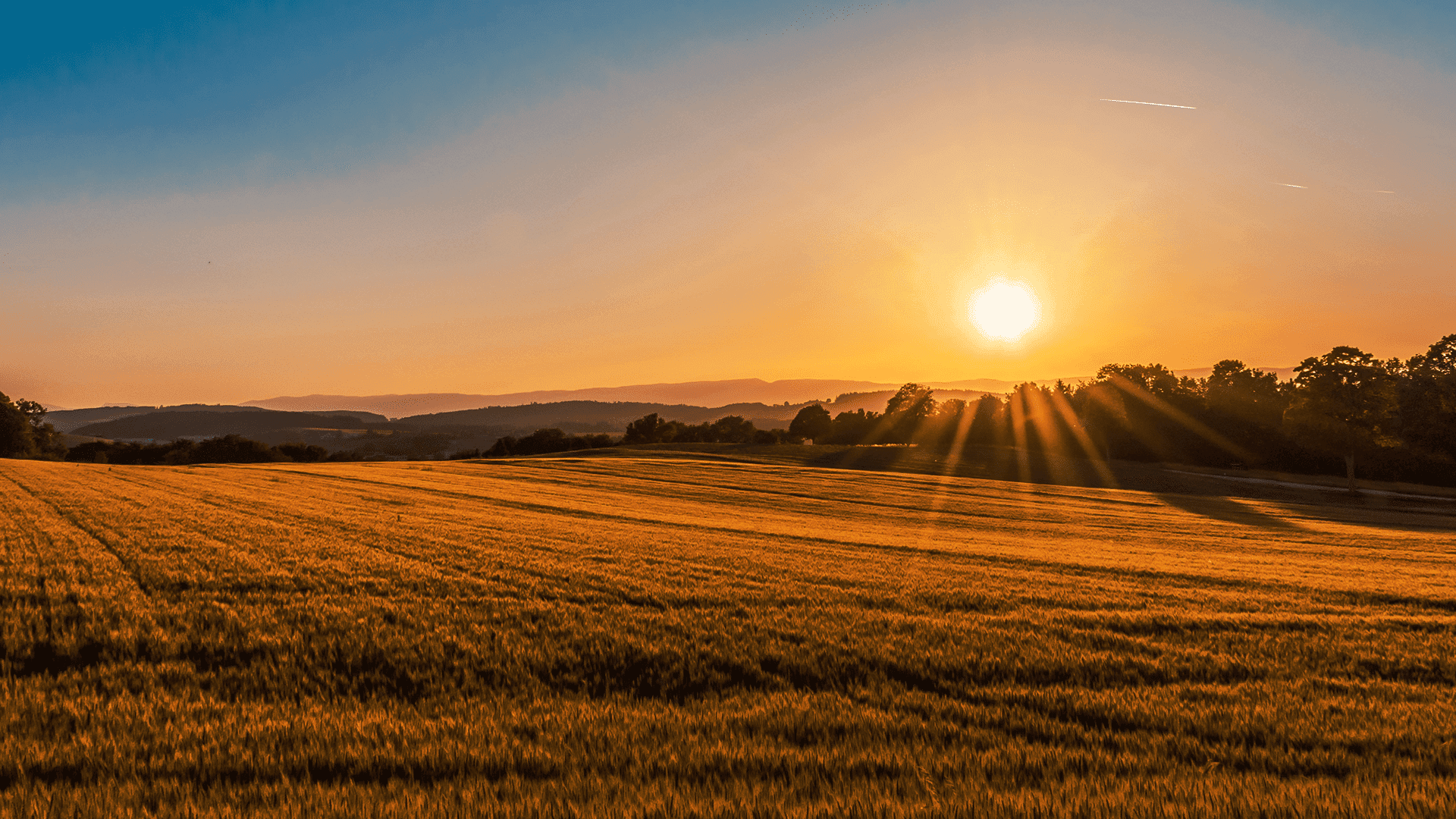 Bible Scriptures for Those Who Are Grieving: Finding Comfort in God's Word
