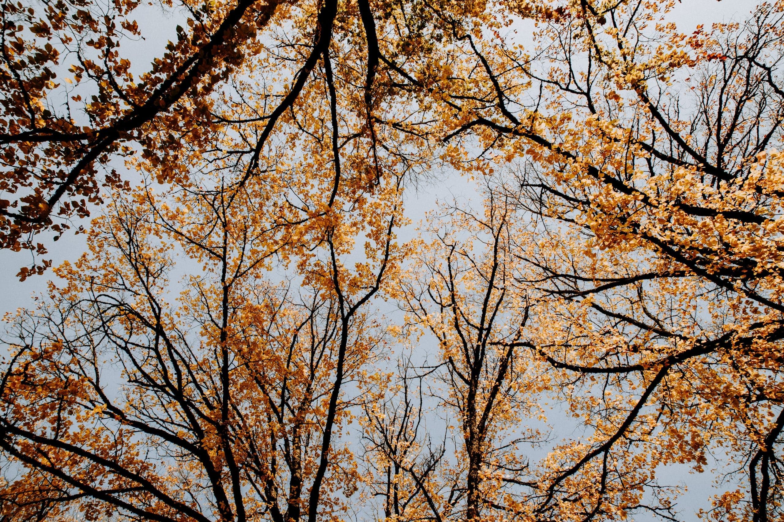 Spiritual Habits That Will Help Your Mental Wellbeing