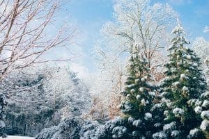 8 Orações de Natal Para Focar Em Deus