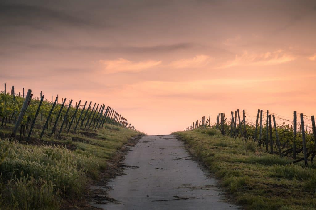 Starting Out On Your Spiritual Journey