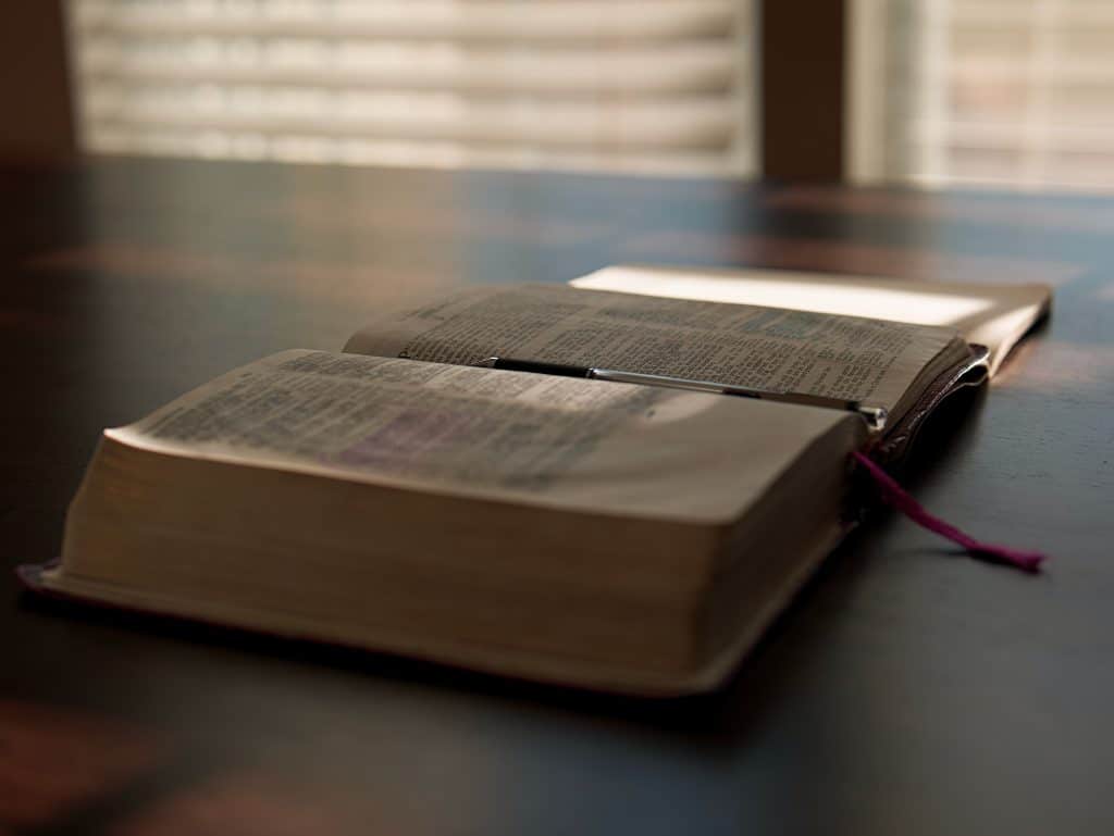 ¿Cómo se describe el amor de Dios en la Biblia?