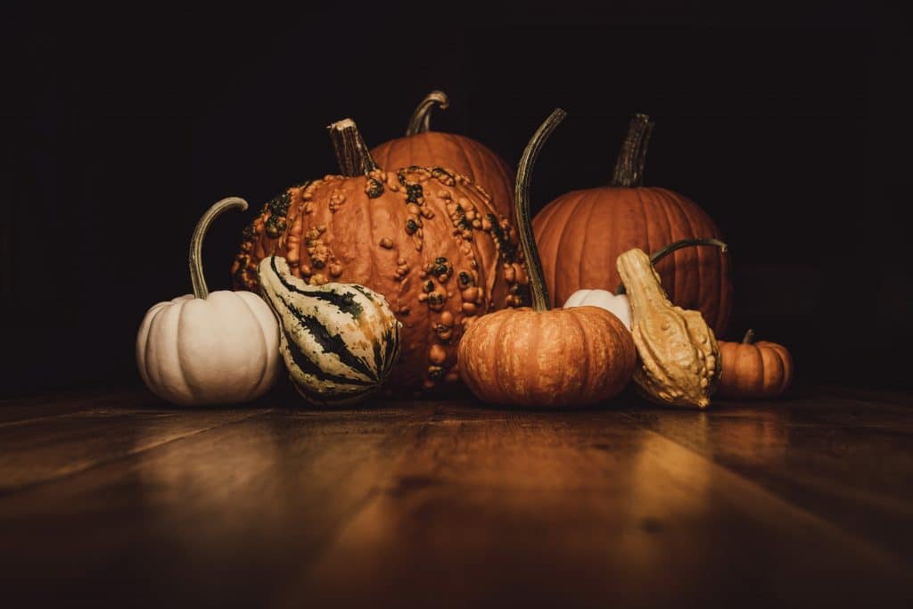 Tips For A Stress-Free Thanksgiving